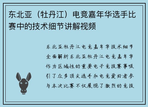 东北亚（牡丹江）电竞嘉年华选手比赛中的技术细节讲解视频